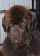 Превью фото № 225469