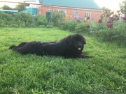 Превью фото № 225471