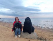 Превью фото № 225481