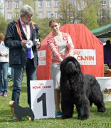 Превью фото № 225491