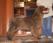 Превью фото № 225517