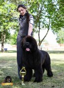 Превью фото № 225534