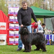 Превью фото № 225547