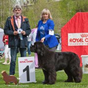 Превью фото № 225548