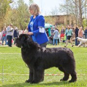 Превью фото № 225552