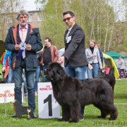 Превью фото № 225553