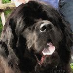 Превью фото № 22559