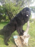 Превью фото № 225590