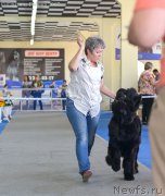 Превью фото № 225671