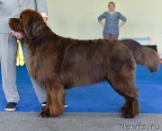 Превью фото № 225673