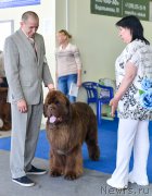 Превью фото № 225678