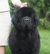 Превью фото № 225688