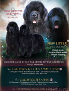 Превью фото № 225715