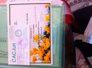 Превью фото № 225753