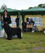 Превью фото № 225786