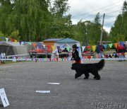 Превью фото № 225788