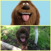 Превью фото № 225795