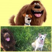 Превью фото № 225798