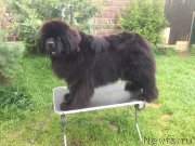 Превью фото № 225801