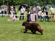 Превью фото № 225833