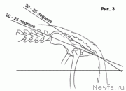 Превью фото № 225905