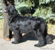 Превью фото № 225908