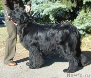 Превью фото № 225909