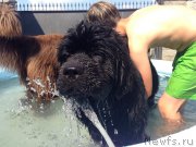 Превью фото № 225939