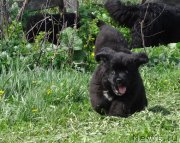 Превью фото № 225943