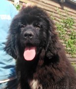 Превью фото № 225968