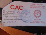 Превью фото № 225988