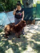 Превью фото № 225998