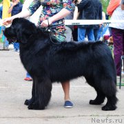 Превью фото № 226019