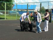 Превью фото № 226022