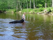 Превью фото № 226059