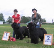 Превью фото № 226071