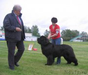 Превью фото № 226072
