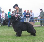 Превью фото № 226073