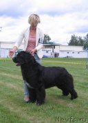 Превью фото № 226077