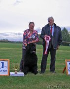 Превью фото № 226079