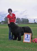 Превью фото № 226081