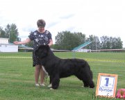 Превью фото № 226088