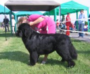 Превью фото № 226096