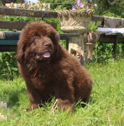 Превью фото № 226179