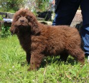 Превью фото № 226180