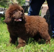 Превью фото № 226181