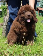 Превью фото № 226183