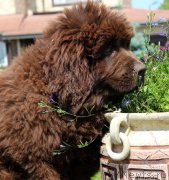 Превью фото № 226188