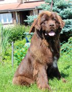 Превью фото № 226193