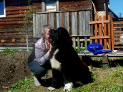 Превью фото № 226204